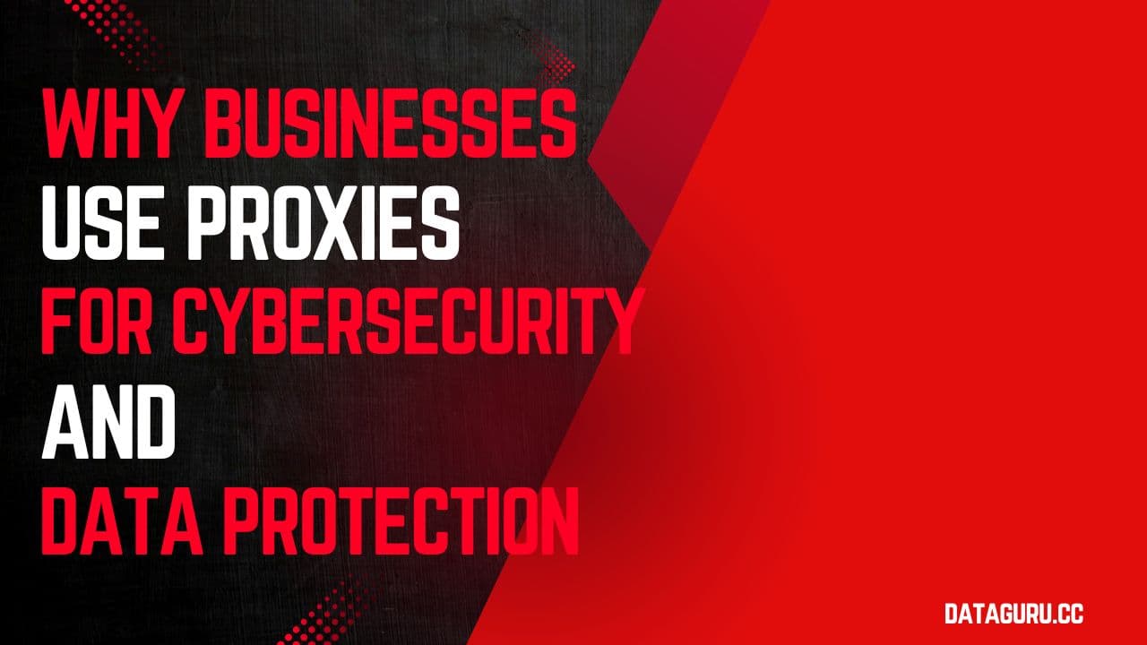 Why Businesses Use Proxies for Cybersecurity and Data Protection