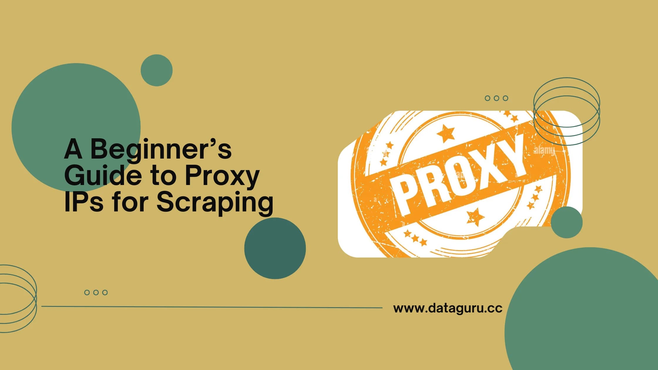 A Beginner’s Guide to Proxy IPs for Scraping